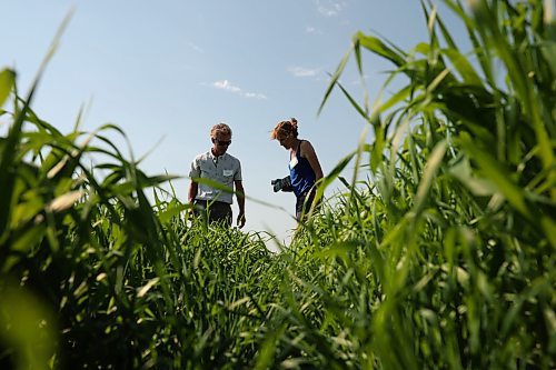 11072024
Jeff and Sheila Elder, farmers near Wawanesa, look over barley strain plots during the Centennial Celebration of the Agriculture and Agri-Food Canada&#x2019;s (AAFC) Brandon Research and Development Centre (Brandon-RDC) Barley Breeding Program on Thursday. The Elder&#x2019;s have been involved in barley variety research at their farm and Shiela is a board member for the Manitoba Crop Alliance.
(Tim Smith/The Brandon Sun)
