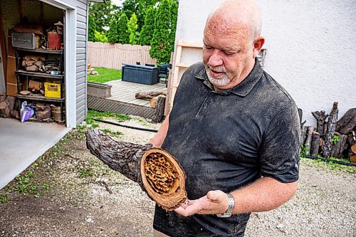 NIC ADAM / FREE PRESS
Sean Philips, 52, makes one-of-a-kind woodwork sculptures and pieces in the garage of his home from salvaged wood sourced here in MB.
Some of the wood Philips sources comes from neighbours, like this ant infested piece. 
240715 - Monday, July 15, 2024.

Reporter: