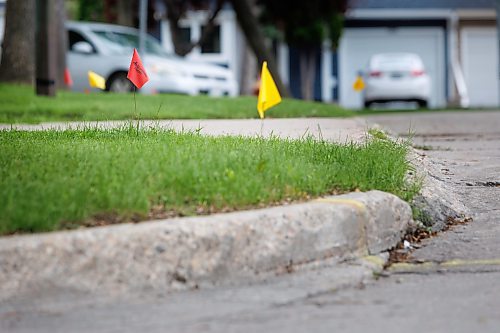 MIKE DEAL / FREE PRESS
Utility flags dot homeowners yards prior to the start of street repair along Greensboro Square.
The intersection of Augusta Drive and Greensboro Square and Bay.
The condition of the streets in Waverley Heights. Specifically Augusta Drive and Greensboro Bay, showing potholes, crumbling curbs, cracks in the pavement.

See 49.8 street construction project

240716 - Tuesday, July 16, 2024.