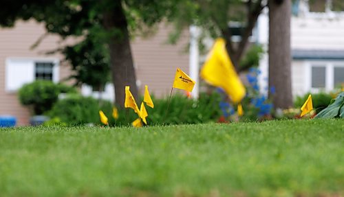 MIKE DEAL / FREE PRESS
Utility flags dot homeowners yards prior to the start of street repair along Greensboro Square.
The intersection of Augusta Drive and Greensboro Square and Bay.
The condition of the streets in Waverley Heights. Specifically Augusta Drive and Greensboro Bay, showing potholes, crumbling curbs, cracks in the pavement.

See 49.8 street construction project

240716 - Tuesday, July 16, 2024.