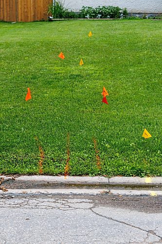 MIKE DEAL / FREE PRESS
Utility flags dot homeowners yards prior to the start of street repair on Augusta Drive near Arthur A. Leach Jr High School.
The road conditions along the stretch of Augusta Drive between Lakeside Drive and Chancellor Drive is quiet bad.
The condition of the streets in Waverley Heights. Specifically Augusta Drive and Greensboro Bay, showing potholes, crumbling curbs, cracks in the pavement.

See 49.8 street construction project

240716 - Tuesday, July 16, 2024.