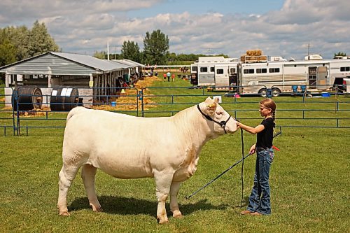 16072024
Blake Airey shows her calf Tanya during the peewee showmanship class in the beef show at the 136th Annual Strathclair Ag Society Fair on Tuesday. The Strathclair Ag Society Fair is one of six stops for the annual Milk Run, a six day long series of town fairs in close proximity. The other fairs include Oak River, Shoal Lake, Hamiota, Harding and Oak Lake. The Strathclair fair included a light horse show, a beef show, a heavy horse driving demonstration and a wide variety of entertainment, games and other activities. 
(Tim Smith/The Brandon Sun)