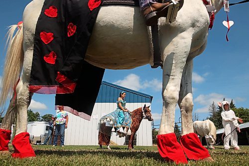 Young competitors wait to take part in the miniature horse judging costume class. (Tim Smith/The Brandon Sun)