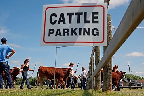 17072024
Competitors enter the paddock during the cattle judging at the Shoal Lake Ag Society Fair on Wednesday. (Tim Smith/The Brandon Sun)