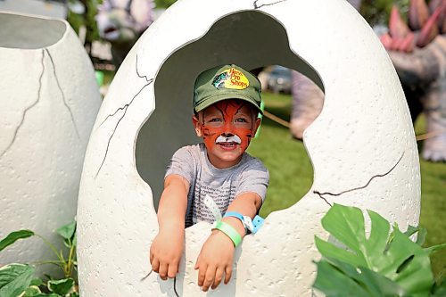 Three-year-old Lincoln Ochrev peers out of a dinosaur egg. (Tim Smith/The Brandon Sun)