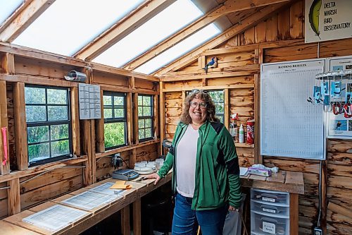 MIKE DEAL / FREE PRESS
Paula Grieef the Resident Naturalist at the Oak Hammock Marsh Interpretive Centre, coordinates all the wildlife surveys, including bird counts as well as the songbird banding program.
240718 - Thursday, July 18, 2024.