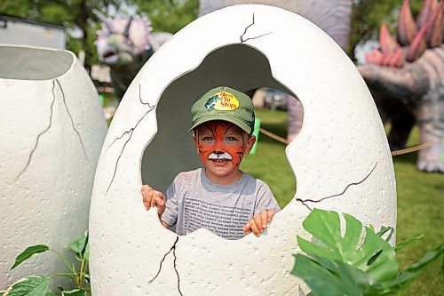 18072024
Three-year-old Lincoln Ochrev peers out of a dinosaur egg during the Hamiota Agricultural Society Fair on a hot Thursday afternoon. The fair included a mini golf tournament, a Mario Kart tournament, beach volleyball and baseball, a movie night, livestock shows and a variety of other entertainment and activities.
(Tim Smith/The Brandon Sun)