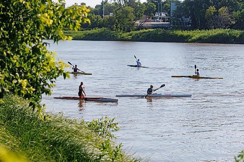 MIKE DEAL / WINNIPEG FREE PRESS
Members of the Provincial Team Toba Canoe and Kayak club on the Red River during training Monday morning at the Manitoba Canoe and Kayak Center.
230703 - Monday, July 03, 2023.