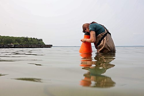 19072024
A Parks Canada employee conducts visual inspections for signs of zebra mussels near the Clear Lake boat cove in Riding Mountain National Park on Friday. Parks Canada announced Friday that they had found evidence of localized zebra mussel infiltration at the boat cove.
(Tim Smith/The Brandon Sun)
