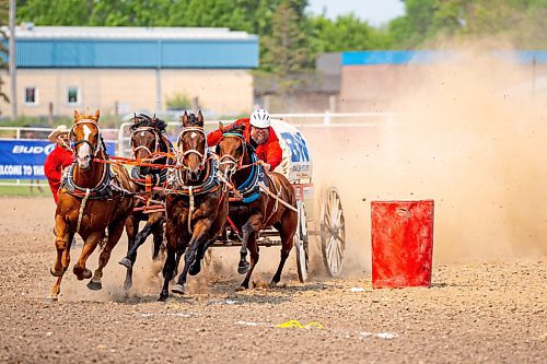 NIC ADAM / FREE PRESS
Miles McNarland races in the seventh pony chuckwagon heat at the Manitoba Stampede & Exhibition Friday afternoon.
240719 - Friday, July 19, 2024.

Reporter: Jura