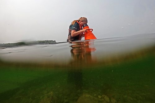 A Parks Canada employee conducts visual inspections for signs of zebra mussels near the Boat Cove at Clear Lake in Riding Mountain National Park on Friday. Parks Canada announced Friday that they had found evidence of localized zebra mussel infiltration at Boat Cove. (Tim Smith/The Brandon Sun)