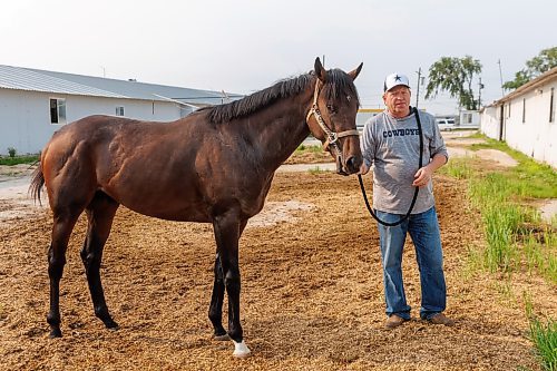 MIKE DEAL / FREE PRESS
Trainer Rick Wise with Mr Fillip who won the Derby Trial this past Monday.
240719 - Friday, July 19, 2024.