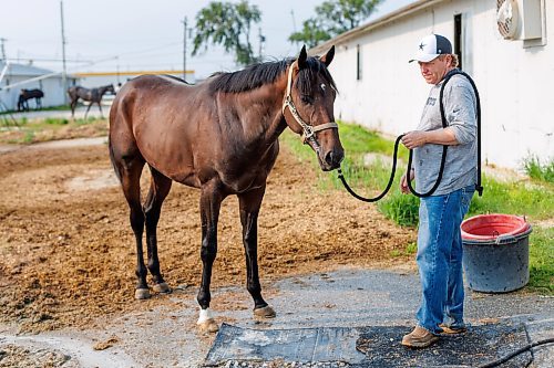 MIKE DEAL / FREE PRESS
Trainer Rick Wise with Mr Fillip who won the Derby Trial this past Monday.
240719 - Friday, July 19, 2024.