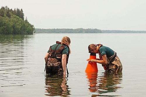 19072024
Parks Canada employees conduct visual inspections for signs of zebra mussels near the Clear Lake boat cove in Riding Mountain National Park on Friday. Parks Canada announced Friday that they had found evidence of localized zebra mussel infiltration at the boat cove.
(Tim Smith/The Brandon Sun)
