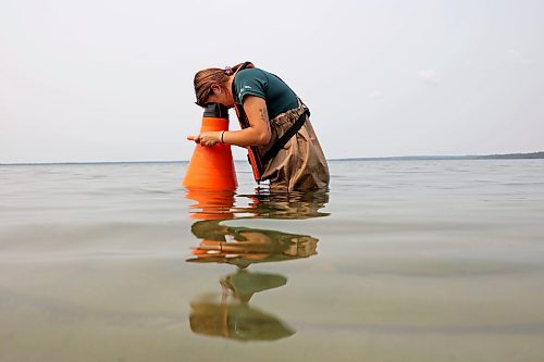 19072024
A Parks Canada employee conducts visual inspections for signs of zebra mussels near the Clear Lake boat cove in Riding Mountain National Park on Friday. Parks Canada announced Friday that they had found evidence of localized zebra mussel infiltration at the boat cove.
(Tim Smith/The Brandon Sun)
