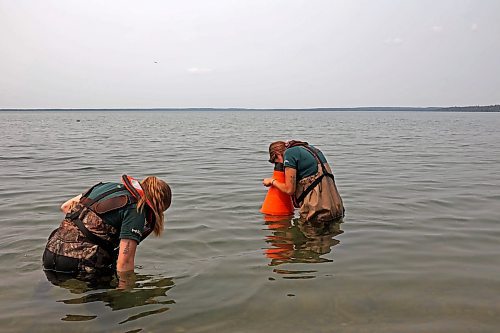 19072024
Parks Canada employees conduct visual inspections for signs of zebra mussels near the Clear Lake boat cove in Riding Mountain National Park on Friday. Parks Canada announced Friday that they had found evidence of localized zebra mussel infiltration at the boat cove.
(Tim Smith/The Brandon Sun)
