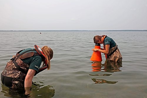 19072024
Parks Canada employees conduct visual inspections for signs of zebra mussels near the Clear Lake boat cove in Riding Mountain National Park on Friday. Parks Canada announced Friday that they had found evidence of localized zebra mussel infiltration at the boat cove.
(Tim Smith/The Brandon Sun)
