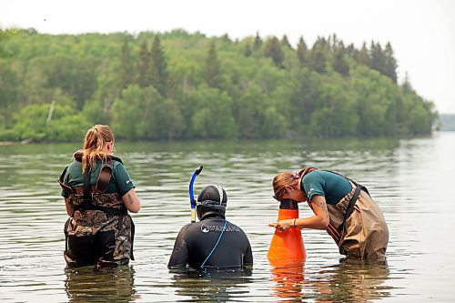 19072024
Parks Canada employees conduct visual inspections for signs of zebra mussels near the Clear Lake boat cove in Riding Mountain National Park on Friday. Parks Canada announced Friday that they had found evidence of localized zebra mussel infiltration at the boat cove.
(Tim Smith/The Brandon Sun)
