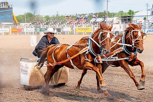 NIC ADAM / FREE PRESS
Jay Hantiuk of Jay-Dee Livestock races in the first pony chariot heat at the Manitoba Stampede &amp; Exhibition Friday afternoon.
240719 - Friday, July 19, 2024.

Reporter: Jura