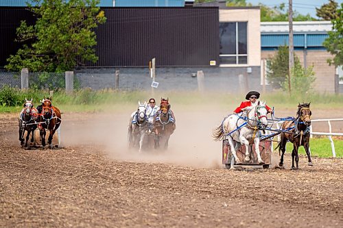 NIC ADAM / FREE PRESS
The third pony chariot heat at the Manitoba Stampede &amp; Exhibition Friday afternoon.
240719 - Friday, July 19, 2024.

Reporter: Jura