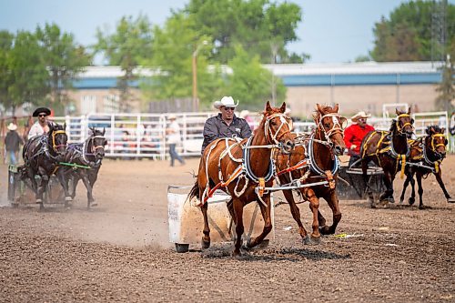 NIC ADAM / FREE PRESS
Jay Hantiuk of Jay-Dee Livestock races in the first pony chariot heat at the Manitoba Stampede &amp; Exhibition Friday afternoon.
240719 - Friday, July 19, 2024.

Reporter: Jura