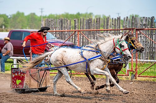 NIC ADAM / FREE PRESS
Bryce Hart races in the third pony chariot heat at the Manitoba Stampede &amp; Exhibition Friday afternoon.
240719 - Friday, July 19, 2024.

Reporter: Jura