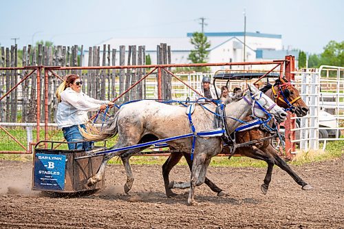 NIC ADAM / FREE PRESS
Tiffany Robinson races in the third pony chariot heat at the Manitoba Stampede &amp; Exhibition Friday afternoon.
240719 - Friday, July 19, 2024.

Reporter: Jura