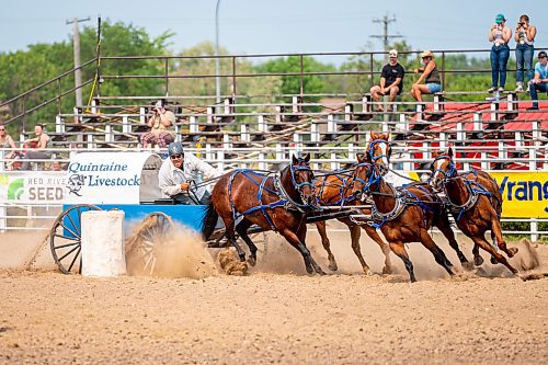 NIC ADAM / FREE PRESS
Paul Neufled races in the seventh pony chuckwagon heat at the Manitoba Stampede &amp; Exhibition Friday afternoon.
240719 - Friday, July 19, 2024.

Reporter: Jura