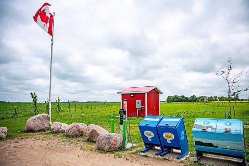 NIC ADAM / FREE PRESS
An EV charger at the Centre of Canada park near Lorette on Hwy 1 pictured Tuesday afternoon.
240723 - Tuesday, July 23, 2024.

Reporter: