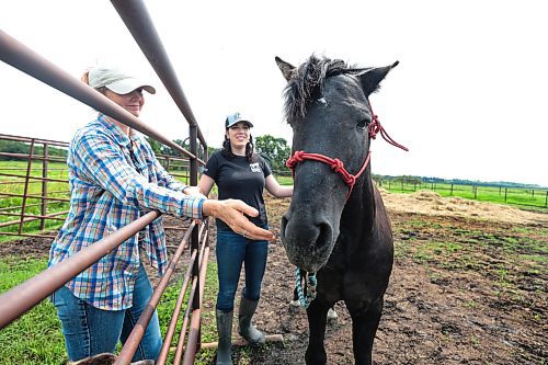 Ruth Bonneville / Free Press

ENT - Ojibwe horses

Michelle McConomy and her dad, Bob McConomy along with Gwen Donohoe (outside fence), who are looking after Chase, a 15-year-old Ojibwe stallion at Place: Sagehill Stables. 

Subject: Michelle McConomy, a student at Sagehill Stables, is the local caretaker of Chase, a stallion from Ontario and one of a few hundred Ojibwe horses left in the country. Will be meeting with Michelle and Sagehill owner Gwen Donohoe to hear about the breeding program their working on to keep Chase&#x2019;s endangered lineage alive.


Eva Wasney's story

July 22nd,  2024

