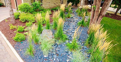 Colleen Zacharias / Free Press
A dry stream bed allows rainwater to percolate slowly into the ground and provides moisture for plants. 