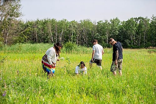 MIKAELA MACKENZIE / FREE PRESS

Kay Lagimodiere (left, 21), Dana Connolly, Caiden Troupp (15), and Cory Troupp gather sage at Assiniboine Forest on Thursday, July 25, 2024. The family is behind Mashkiki Garden Creations, which sells natural beauty and wellness products infused with Manitoba prairie plants.

For AV story.