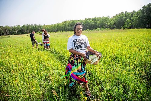 MIKAELA MACKENZIE / FREE PRESS

Dana Connolly gathers sage with her family at Assiniboine Forest on Thursday, July 25, 2024. The family is behind Mashkiki Garden Creations, which sells natural beauty and wellness products infused with Manitoba prairie plants.

For AV story.