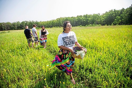 MIKAELA MACKENZIE / FREE PRESS

Dana Connolly gathers sage with her family at Assiniboine Forest on Thursday, July 25, 2024. The family is behind Mashkiki Garden Creations, which sells natural beauty and wellness products infused with Manitoba prairie plants.

For AV story.