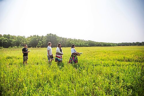 MIKAELA MACKENZIE / FREE PRESS

Cory Troupp (left), Caiden Troupp (15), Kay Lagimodiere (21), and Dana Connolly gather sage at Assiniboine Forest on Thursday, July 25, 2024. The family is behind Mashkiki Garden Creations, which sells natural beauty and wellness products infused with Manitoba prairie plants.

For AV story.