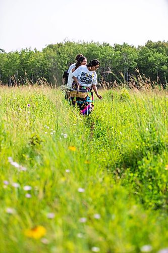 MIKAELA MACKENZIE / FREE PRESS

Dana Connolly (front) gathers sage with her family at Assiniboine Forest on Thursday, July 25, 2024. The family is behind Mashkiki Garden Creations, which sells natural beauty and wellness products infused with Manitoba prairie plants.

For AV story.