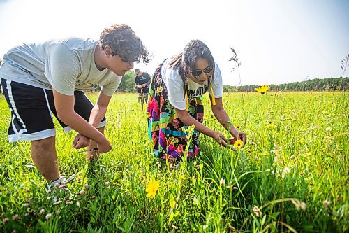 MIKAELA MACKENZIE / FREE PRESS

Dana Connolly explains some details about sage to her son, Caiden Troupp (15), while gathering medicines  at Assiniboine Forest on Thursday, July 25, 2024. The family is behind Mashkiki Garden Creations, which sells natural beauty and wellness products infused with Manitoba prairie plants.

For AV story.