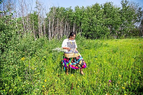 MIKAELA MACKENZIE / FREE PRESS

Dana Connolly, the creator of Mashkiki Garden Creations, at Assiniboine Forest on Thursday, July 25, 2024. She makes natural beauty and wellness products infused with Manitoba prairie plants.

For AV story.