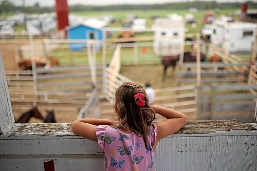 25072024
Five-year-old Isabella Lambert looks over the action behind the scenes at the first go-round of the 68th Annual Manitoba Threshermen&#x2019;s Reunion and Stampede rodeo near Austin, Manitoba on Thursday evening.  (Tim Smith/The Brandon Sun)