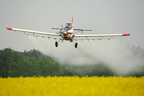 Lepp applies fungicide to a crop of canola on Thursday morning. (Tim Smith/The Brandon Sun)