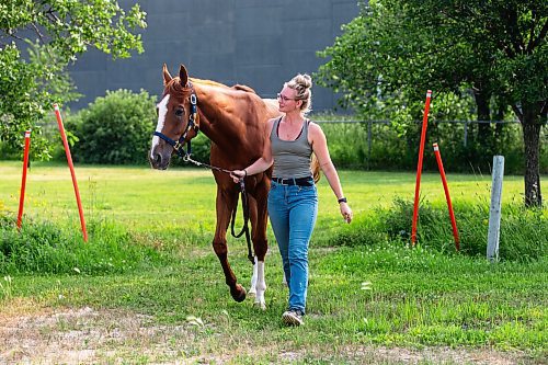 MIKAELA MACKENZIE / FREE PRESS

Groom Katie Morris with Manitoba Derby contender No Show No Call at the Assiniboia Downs on Friday, July 26, 2024. 

For George story.