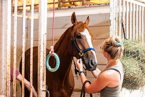 MIKAELA MACKENZIE / FREE PRESS

Groom Katie Morris with Manitoba Derby contender No Show No Call at the Assiniboia Downs on Friday, July 26, 2024. 

For George story.