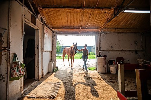 MIKAELA MACKENZIE / FREE PRESS

Groom Katie Morris with Manitoba Derby contender No Show No Call at the Assiniboia Downs on Friday, July 26, 2024. 

For George story.