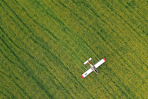 07072023
John Lepp with Rivers Air Spray applies fungicide to a crop of canola near Bradwardine from his Air Tractor AT-802F on Thursday morning. 
(Tim Smith/The Brandon Sun)