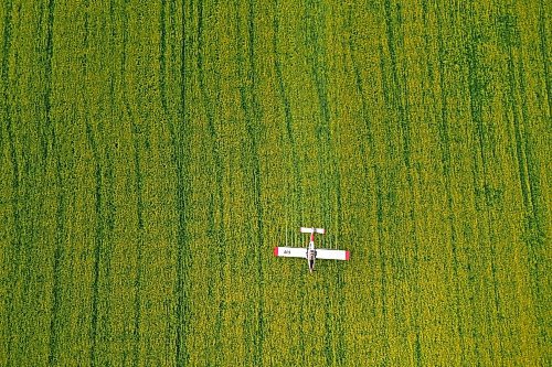 07072023
John Lepp with Rivers Air Spray applies fungicide to a crop of canola near Bradwardine from his Air Tractor AT-802F on Thursday morning. 
(Tim Smith/The Brandon Sun)