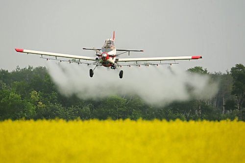 07072023
John Lepp with Rivers Air Spray applies fungicide to a crop of canola near Bradwardine from his Air Tractor AT-802F on Thursday morning. 
(Tim Smith/The Brandon Sun)