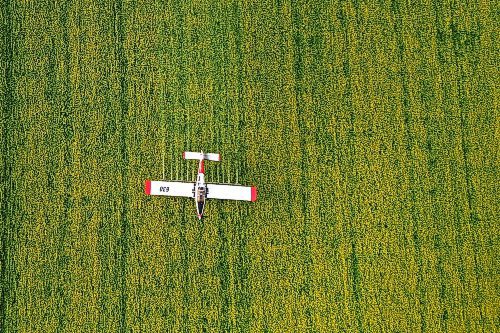 07072023
John Lepp with Rivers Air Spray applies fungicide to a crop of canola near Bradwardine from his Air Tractor AT-802F on Thursday morning. 
(Tim Smith/The Brandon Sun)