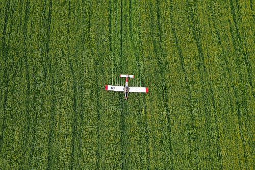 07072023
John Lepp with Rivers Air Spray applies fungicide to a crop of canola near Bradwardine from his Air Tractor AT-802F on Thursday morning. 
(Tim Smith/The Brandon Sun)