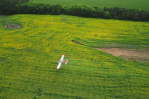 07072023
John Lepp with Rivers Air Spray applies fungicide to a crop of canola near Bradwardine from his Air Tractor AT-802F on Thursday morning. 
(Tim Smith/The Brandon Sun)