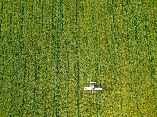 07072023
John Lepp with Rivers Air Spray applies fungicide to a crop of canola near Bradwardine from his Air Tractor AT-802F on Thursday morning. 
(Tim Smith/The Brandon Sun)